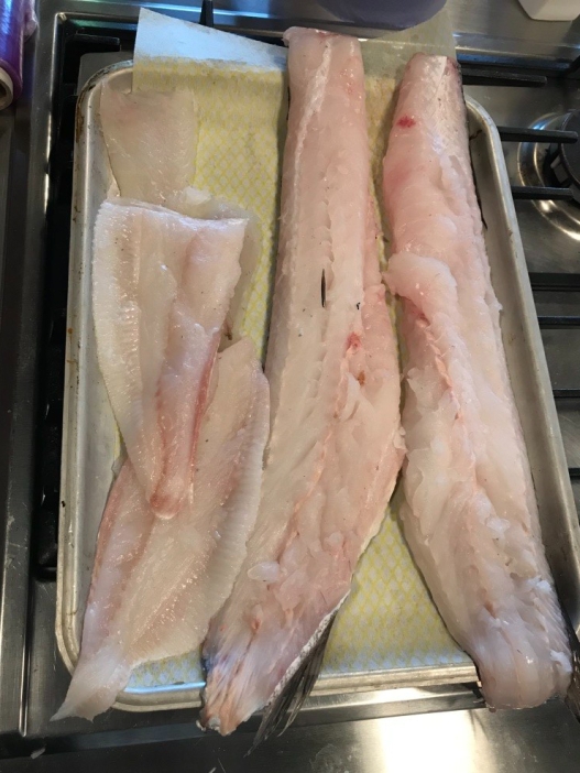 My Filleted Hake and Brill!